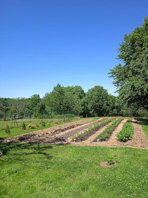 Les Jardins Des 3 Provinces- Gite Montcharvot Bagian luar foto