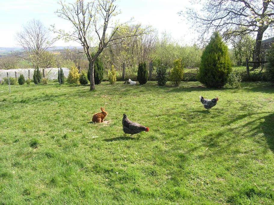Les Jardins Des 3 Provinces- Gite Montcharvot Bagian luar foto