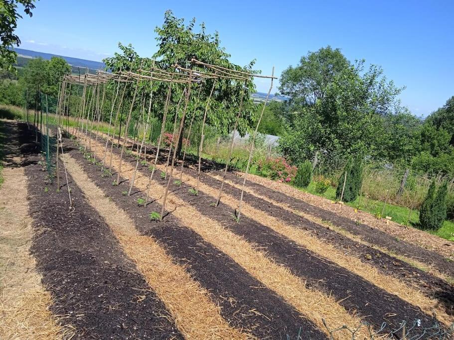 Les Jardins Des 3 Provinces- Gite Montcharvot Bagian luar foto