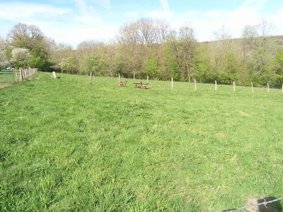 Les Jardins Des 3 Provinces- Gite Montcharvot Bagian luar foto