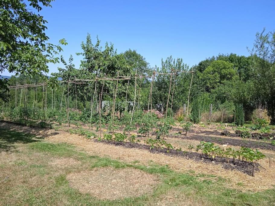 Les Jardins Des 3 Provinces- Gite Montcharvot Bagian luar foto