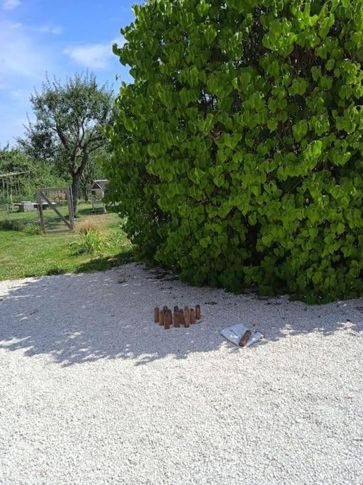 Les Jardins Des 3 Provinces- Gite Montcharvot Bagian luar foto