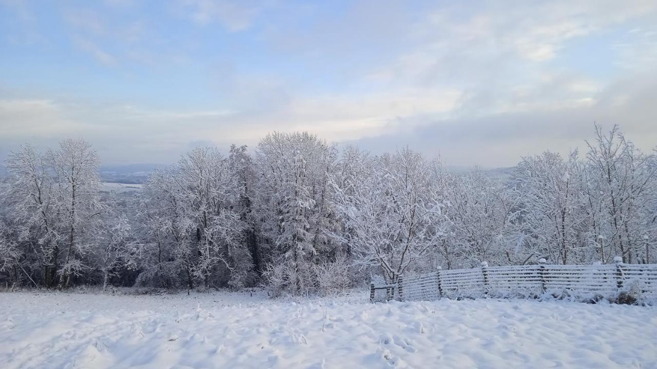 Les Jardins Des 3 Provinces- Gite Montcharvot Bagian luar foto