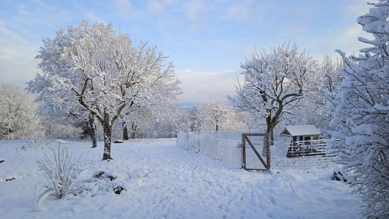 Les Jardins Des 3 Provinces- Gite Montcharvot Bagian luar foto